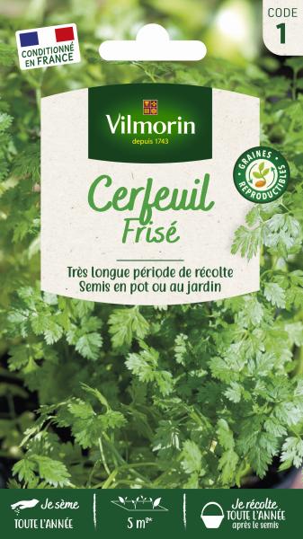 Aromatiques - Cerfeuil Frisé - PACKAGING_RECTO